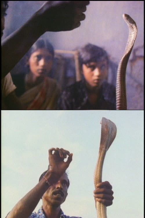 Afiche de Serpent Mother
