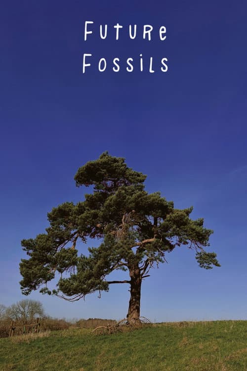 Afiche de Future Fossils