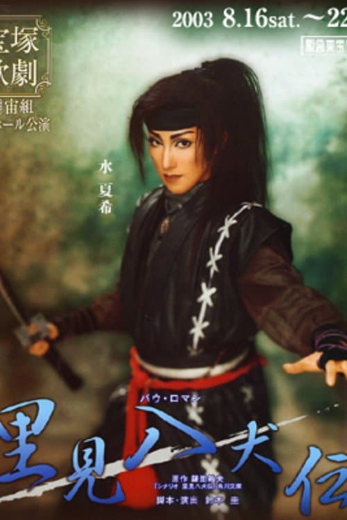 Afiche de 里見八犬伝