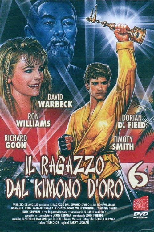 Afiche de Karate Kimura 6