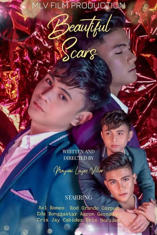 Afiche de Beautiful Scars