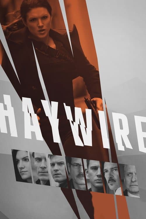 Afiche de Haywire