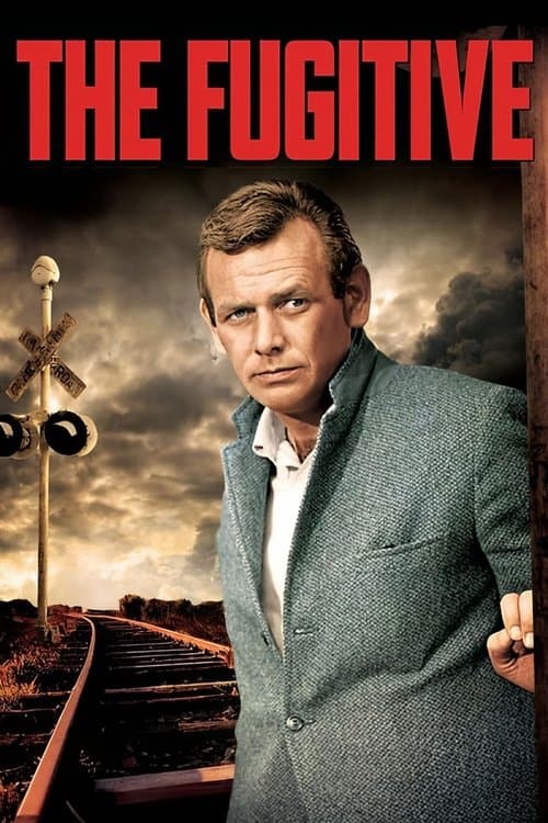 Afiche de The Fugitive
