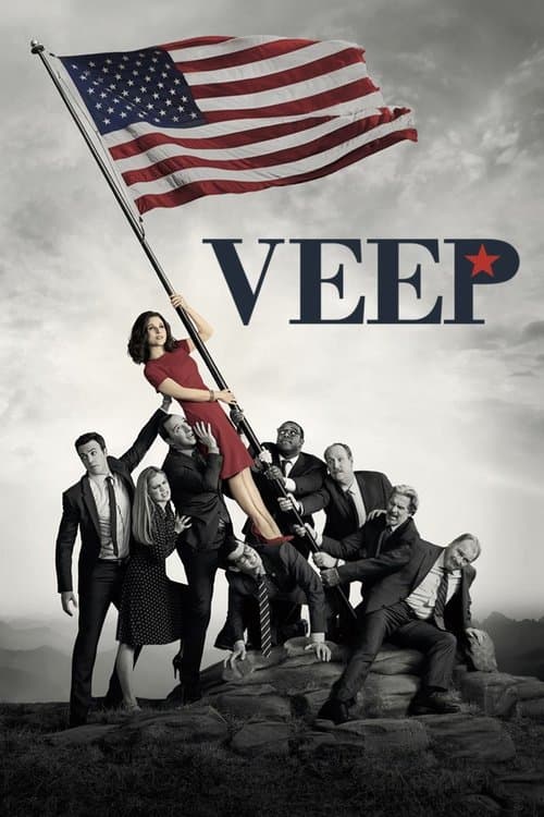 Afiche de Veep