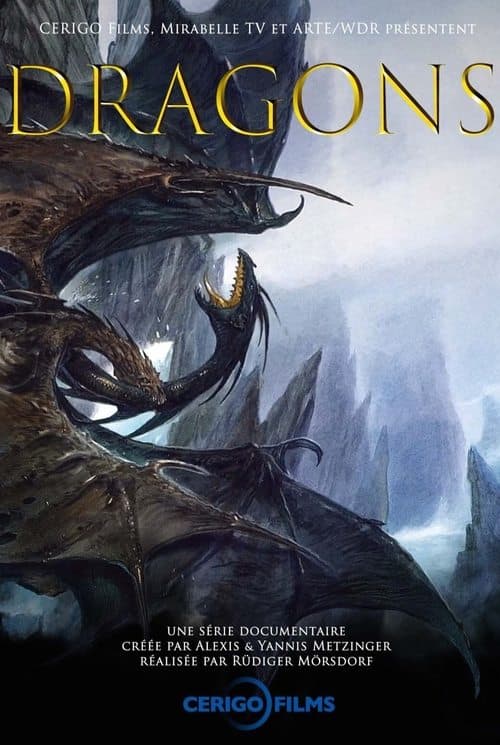 Afiche de Dragons