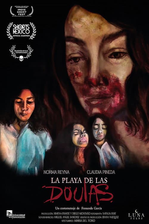 Afiche de La playa de las doulas