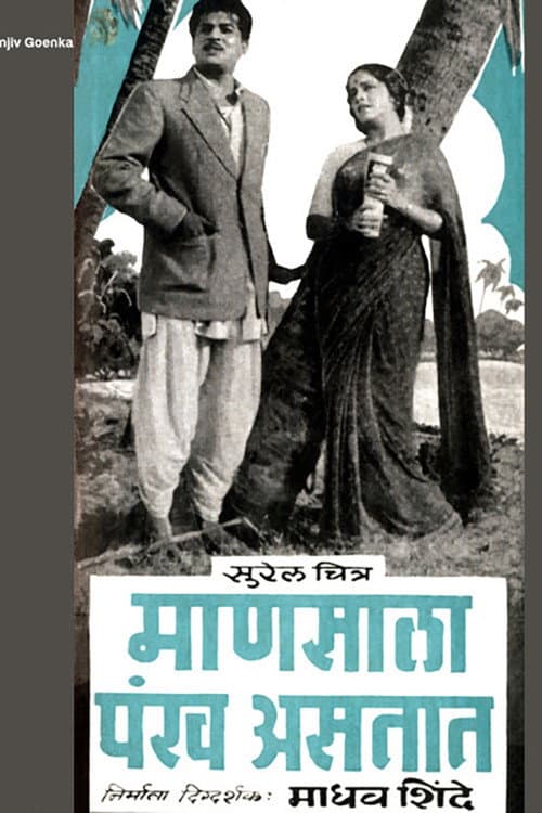 Afiche de माणसाला पंख असतात
