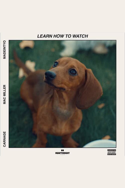 Afiche de Learn How to Watch