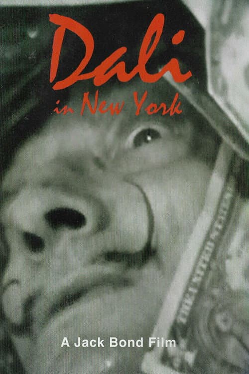 Afiche de Dali In New York