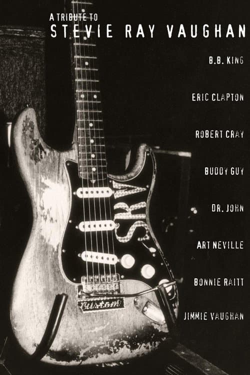 Afiche de A Tribute to Stevie Ray Vaughan