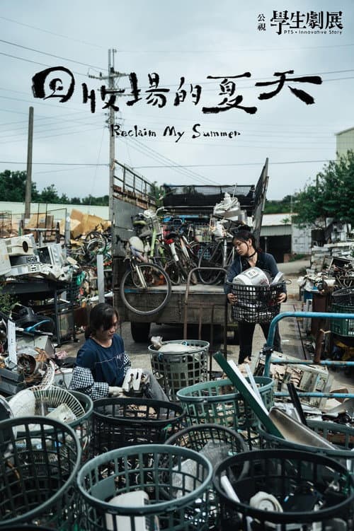 Afiche de 回收場的夏天