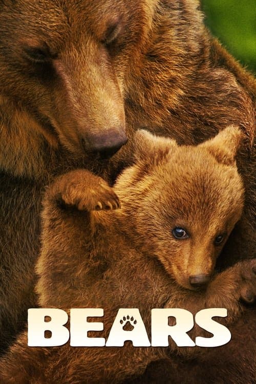 Afiche de Osos