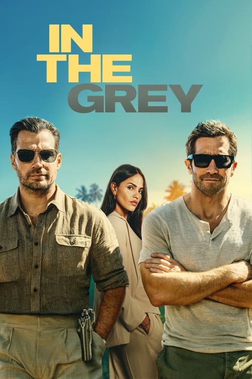 Afiche de In the Grey