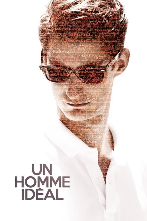 Afiche de A Perfect Man