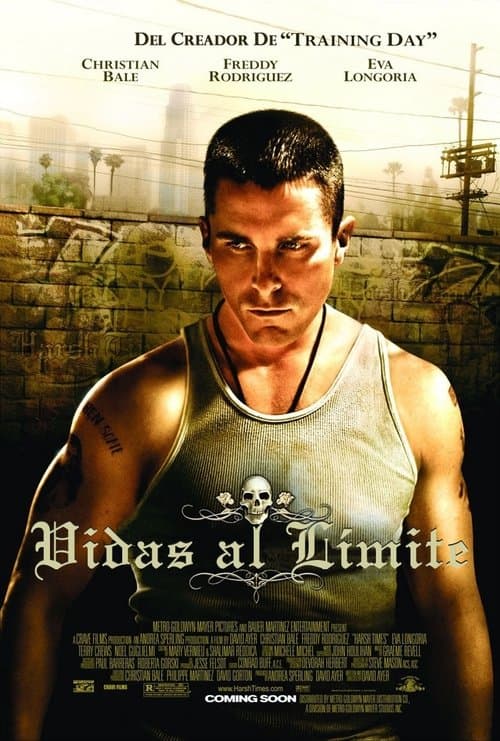 Afiche de Vidas al límite
