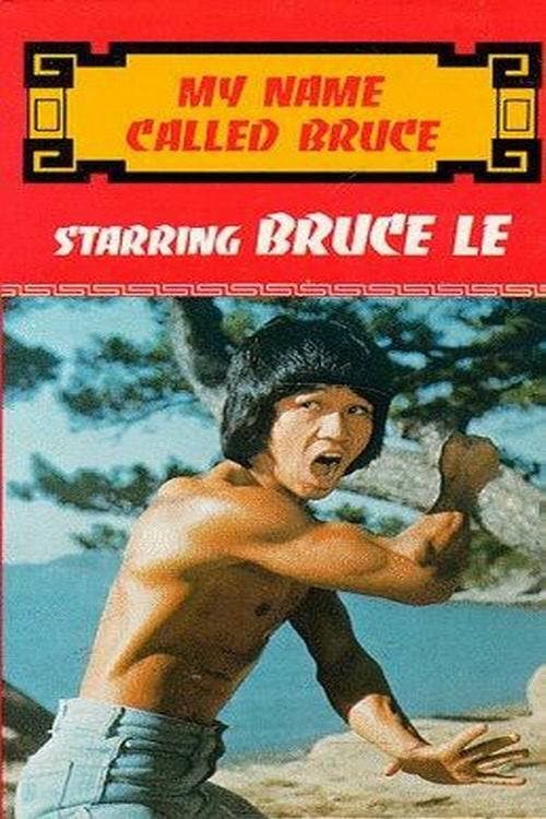 Afiche de Pi li long quan