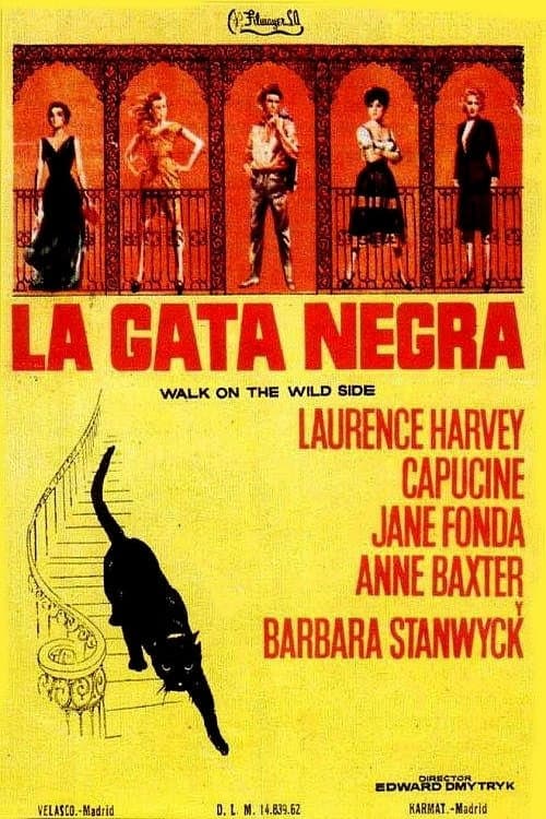 Afiche de La gata negra