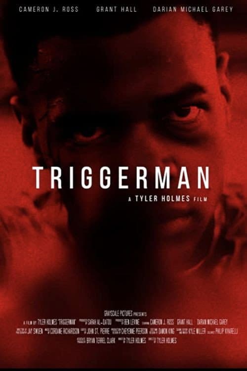 Afiche de Triggerman