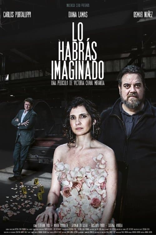 Afiche de Lo habrás imaginado