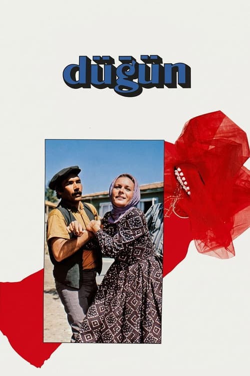Afiche de Düğün
