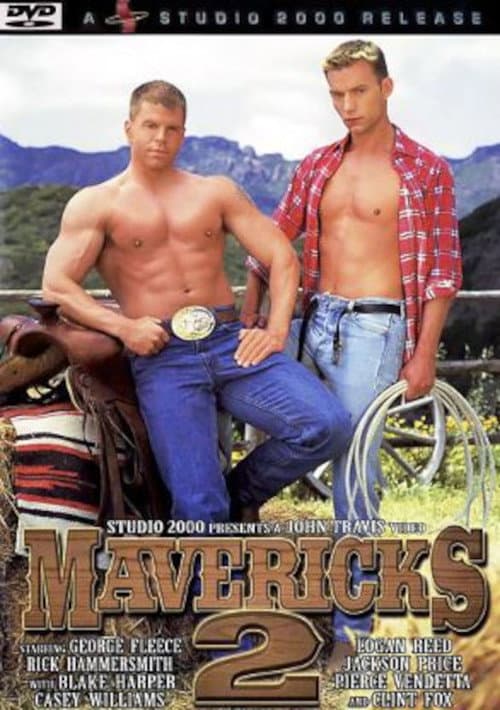 Afiche de Mavericks 2