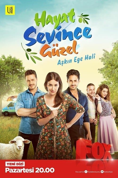 Afiche de Hayat Sevince Güzel