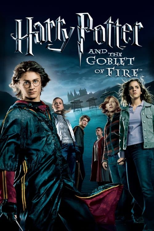 Afiche de Harry Potter and the Goblet of Fire