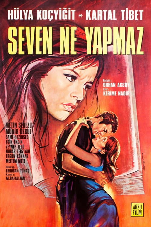 Afiche de Seven Ne Yapmaz