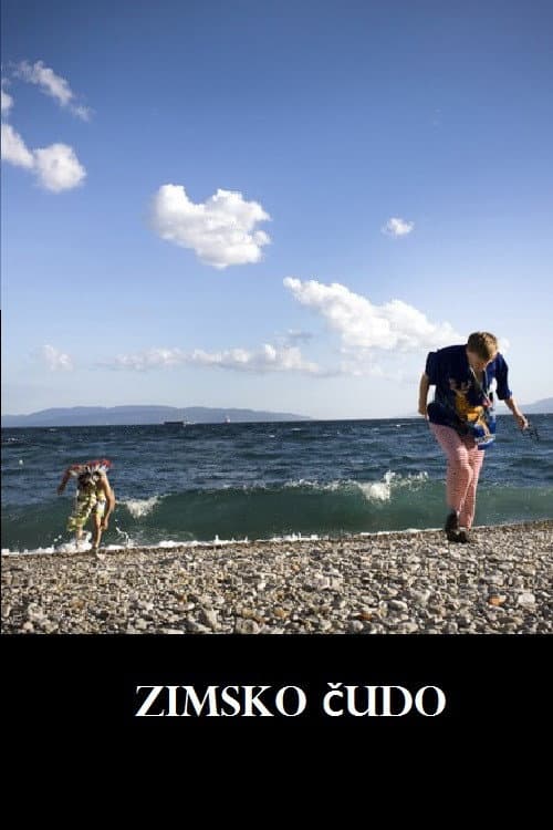 Afiche de Zimsko čudo