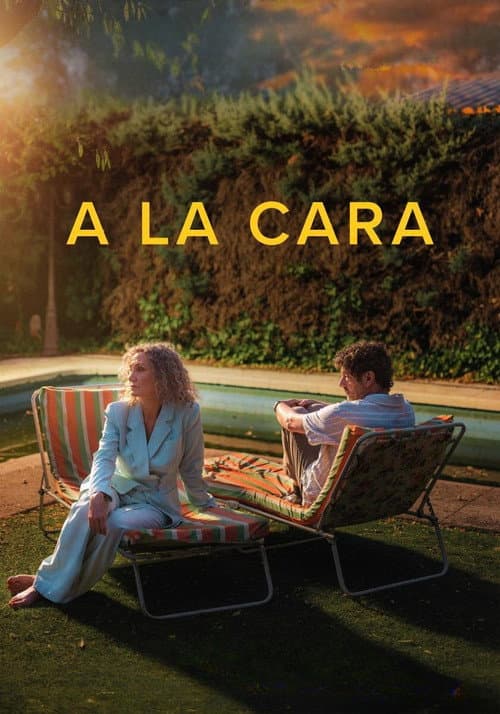 Afiche de A la cara