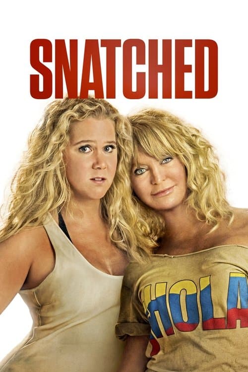 Afiche de Snatched