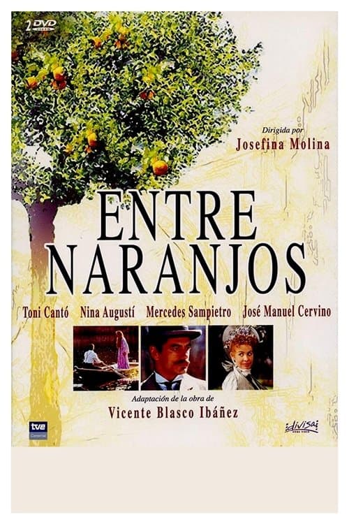 Afiche de Entre naranjos