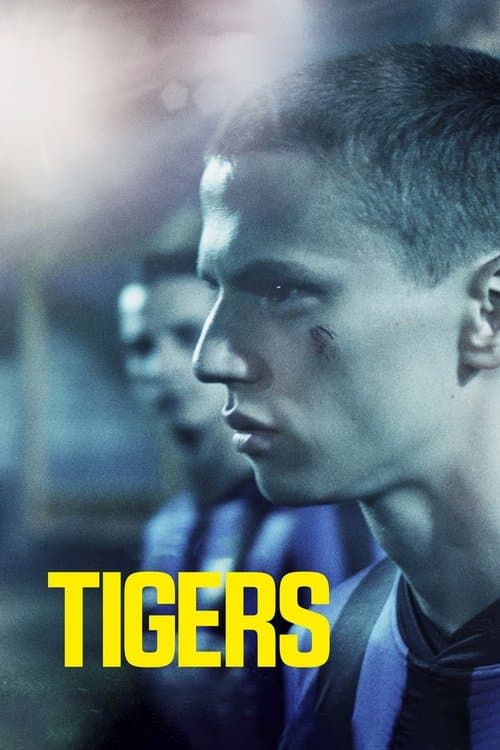 Afiche de Tigers