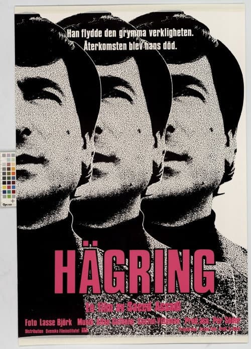 Afiche de Hägring