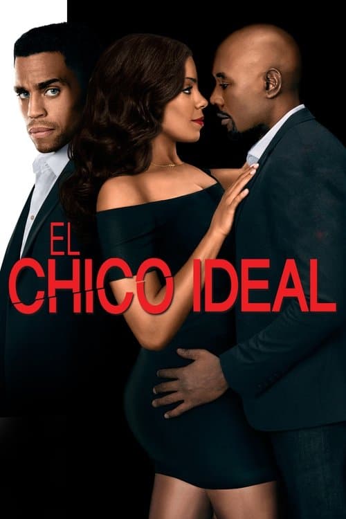 Afiche de El chico ideal