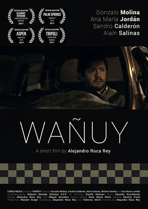 Afiche de Wañuy