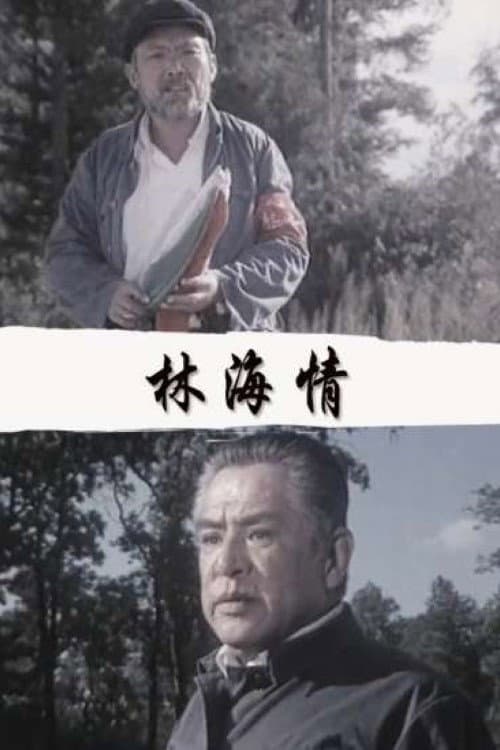 Afiche de 林海情