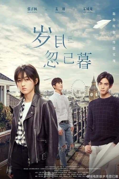 Afiche de 岁月忽已暮