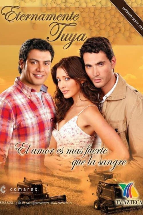 Afiche de Eternamente Tuya