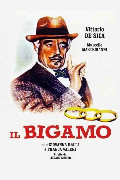 Afiche de The Bigamist