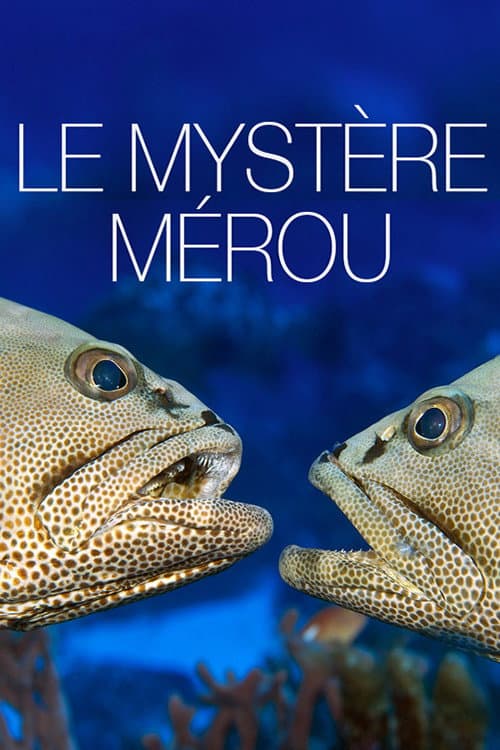 Afiche de Le Mystère Mérou