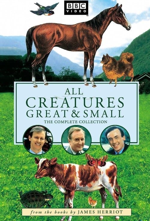 Afiche de Todas las criaturas grandes y pequeñas