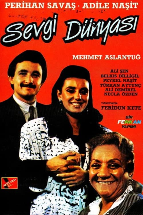 Afiche de Sevgi Dünyası