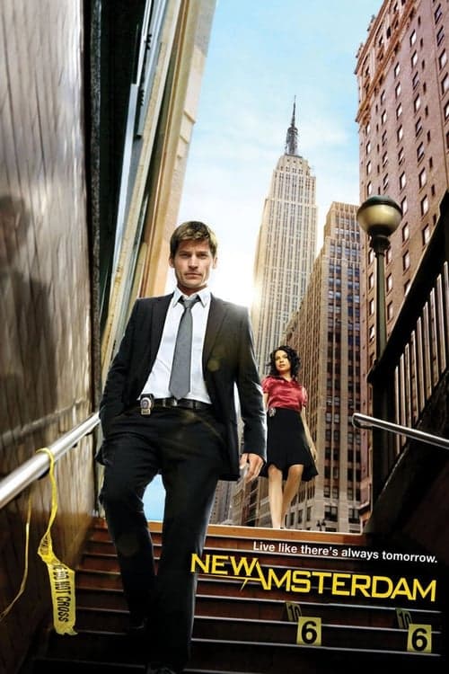 Afiche de New Amsterdam