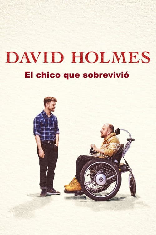 Afiche de David Holmes: El chico que sobrevivió