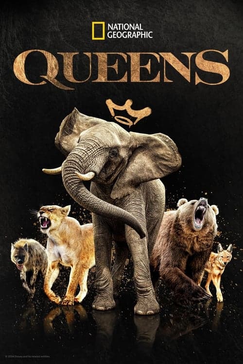 Afiche de Queens