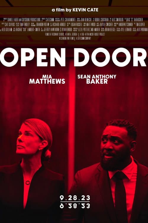 Afiche de Open Door