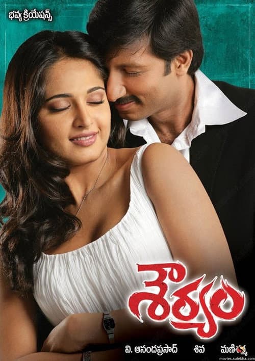 Afiche de శౌర్యం
