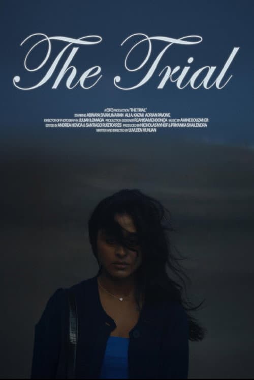 Afiche de The Trial