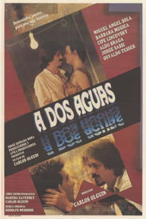 Afiche de The Two Waters